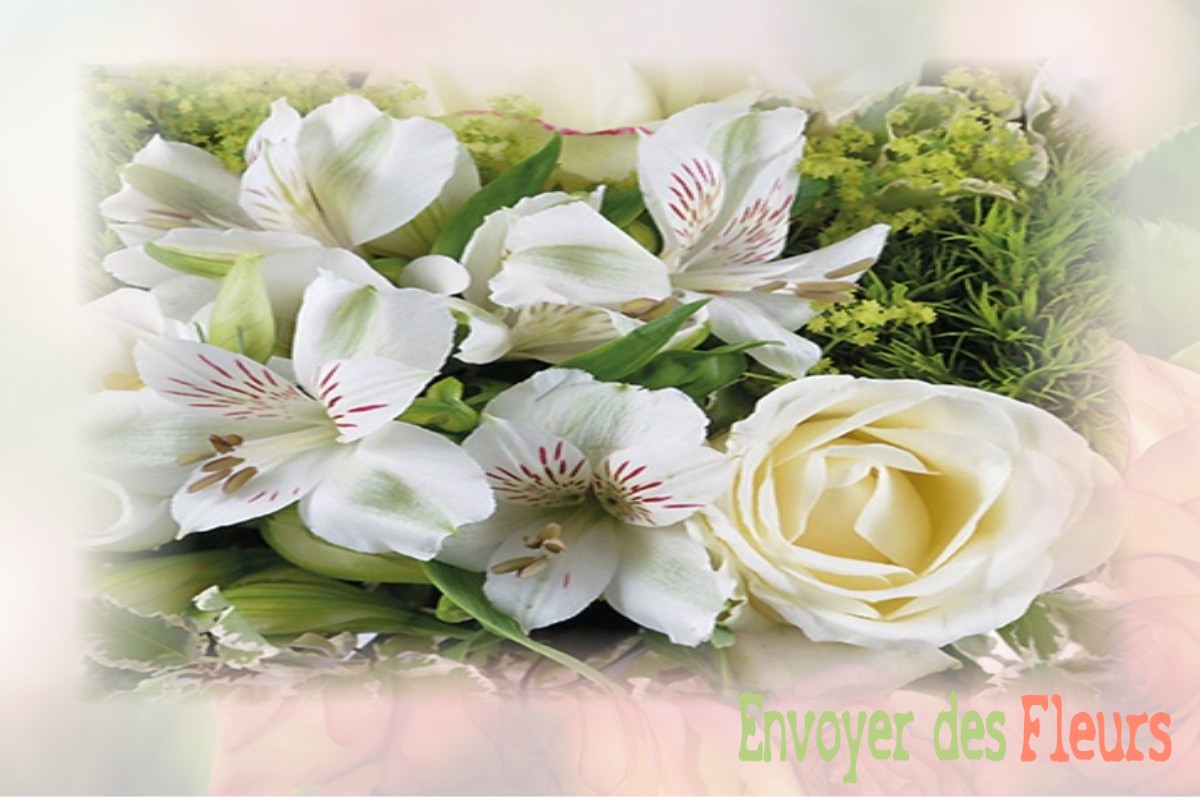 envoyer des fleurs à à SAINT-AGNAN-EN-VERCORS